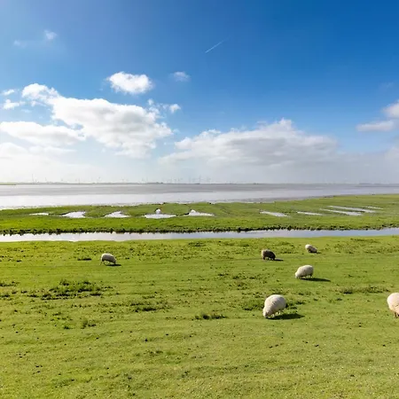 Deichglueck * Tönning